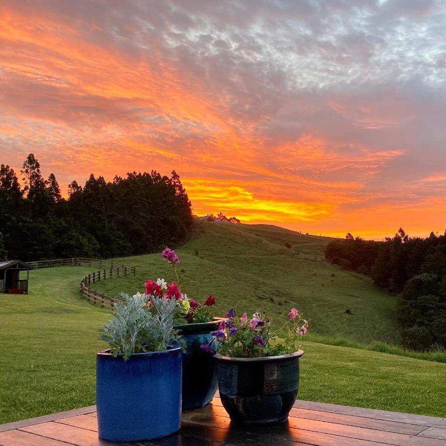 Kauri Glen BnB Te Arai Exterior foto